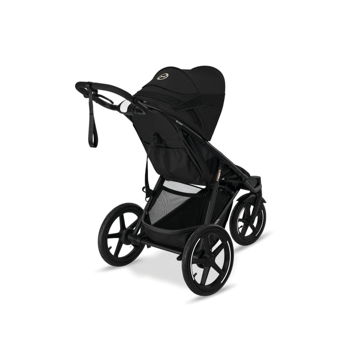 Cybex Avi Spin