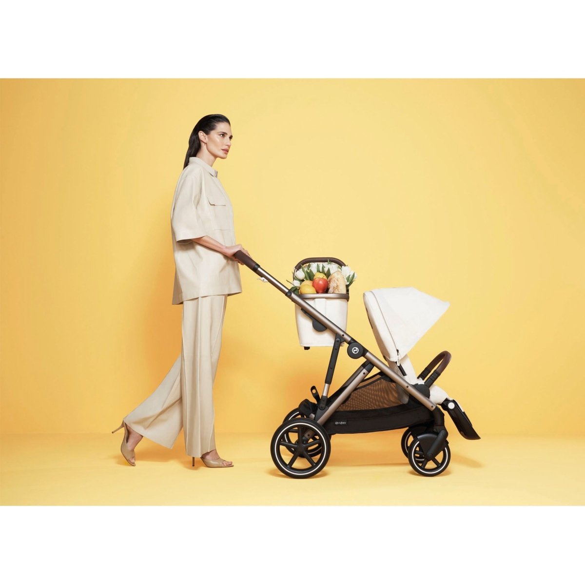 Cybex Gazelle S 2-in-1 Bundle