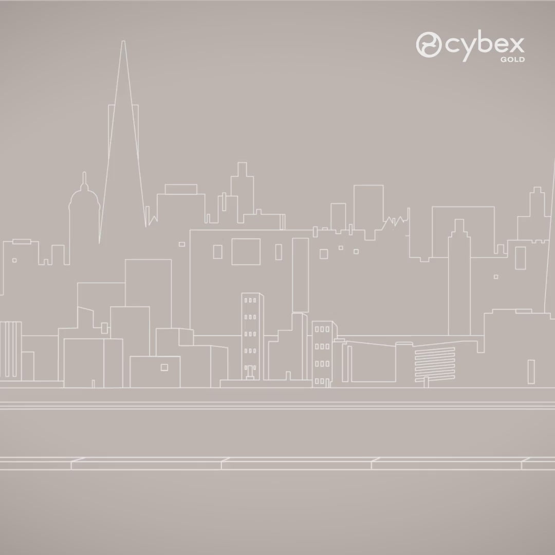 Cybex Avi Spin Essential Bundle