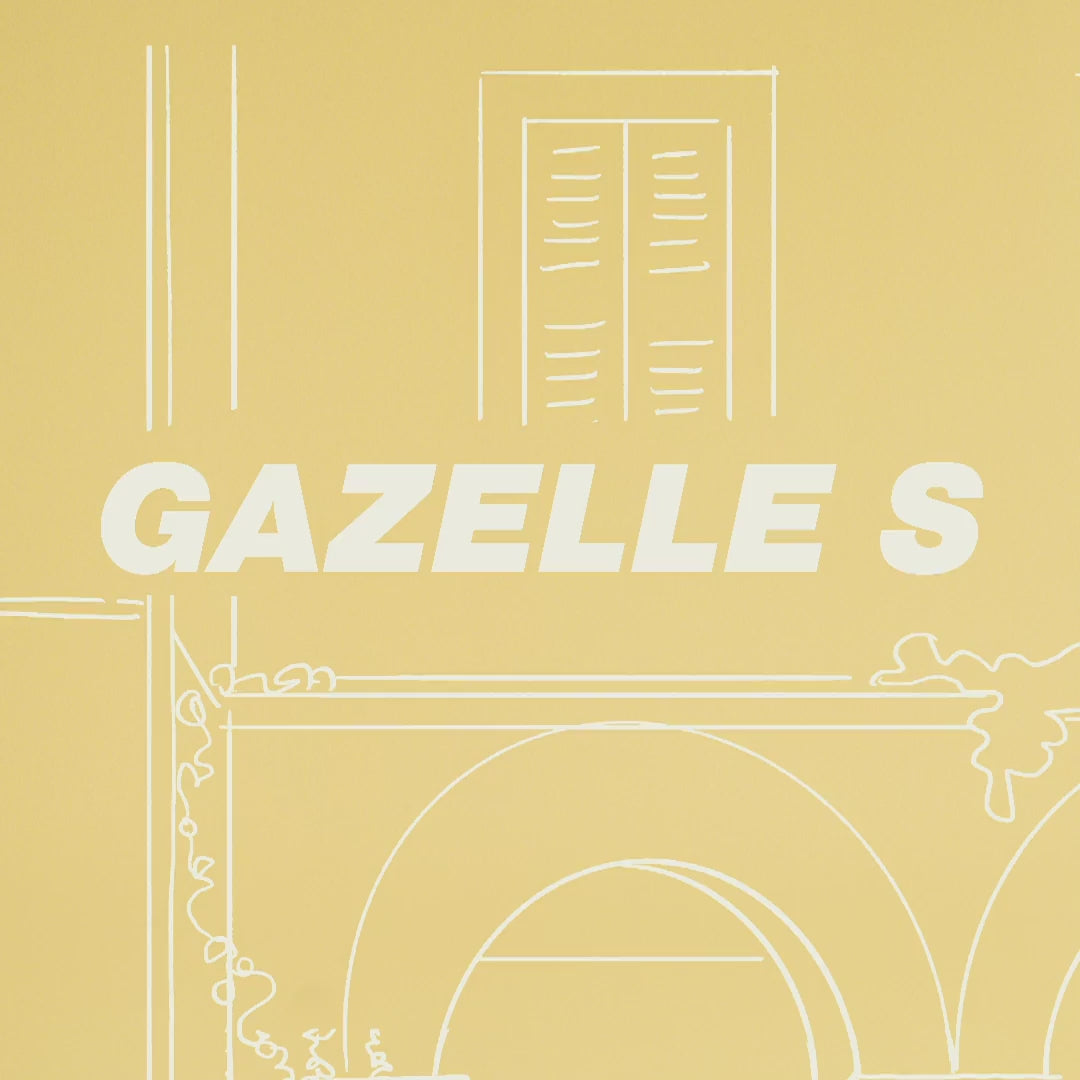 Cybex Gazelle S - Essential Bundle