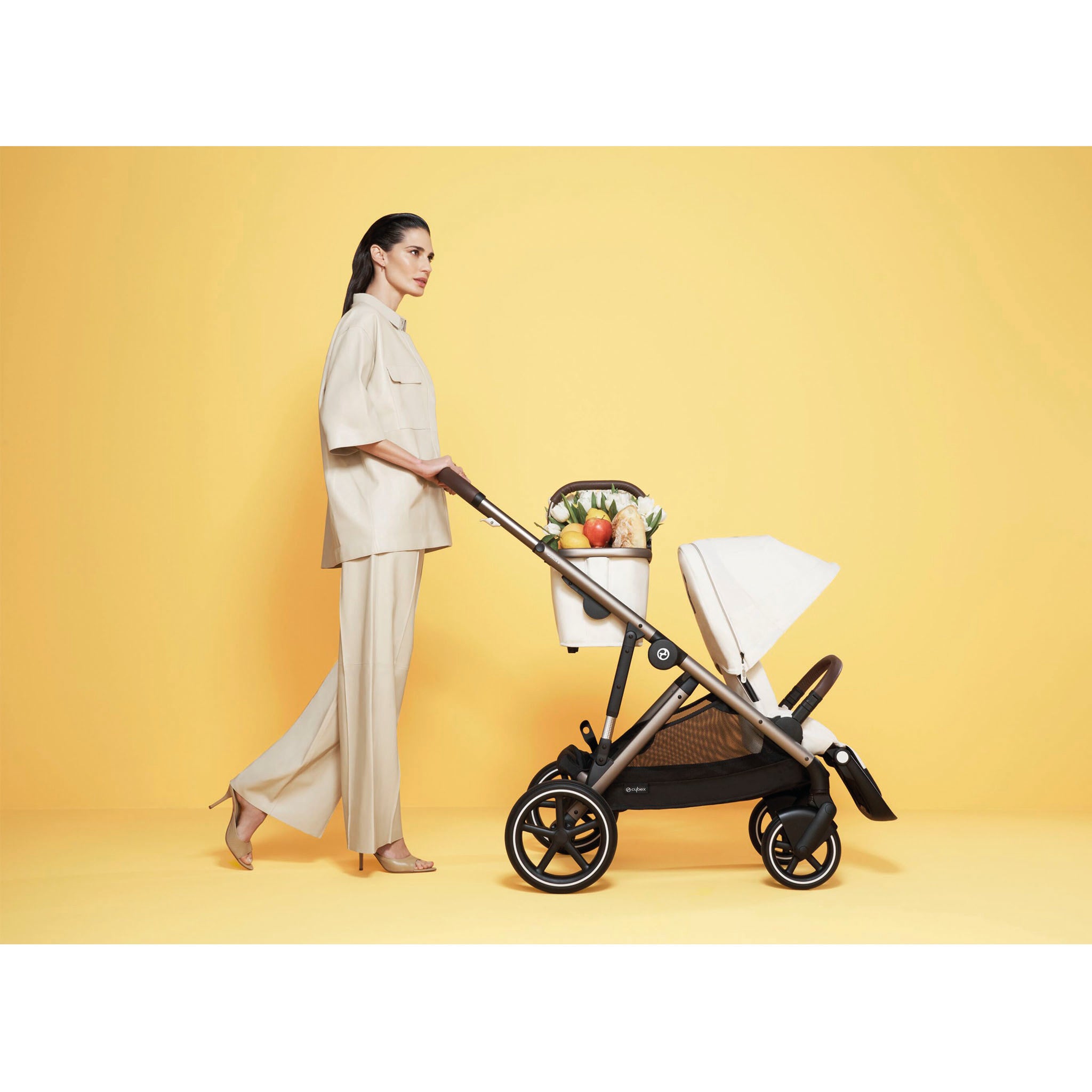 Cybex Gazelle S 2-in-1 Bundle
