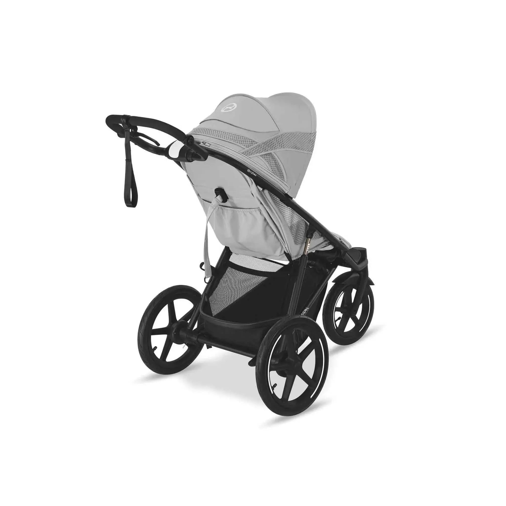 Cybex Avi Spin Essential Bundle