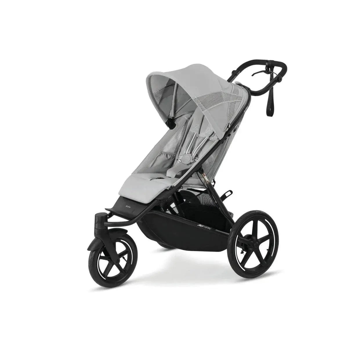 Cybex Avi Spin